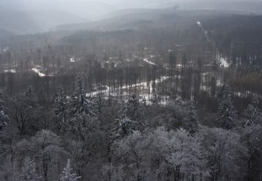 Randonnée A pied Südharz - Wanderweg 