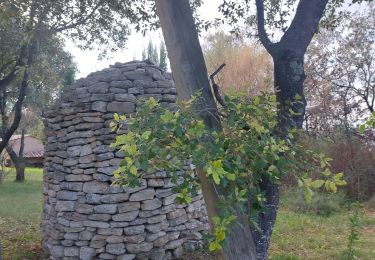 Percorso Marcia Chantemerle-lès-Grignan - Chantemerle-lès-Grignan les Homais 11km - Photo