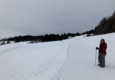 Tour Schneeschuhwandern Le Grand-Bornand - 25 - le vieux village de Chinaillon - Photo