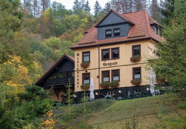 Randonnée A pied Thale - Harzklub-Weg 38B - Photo