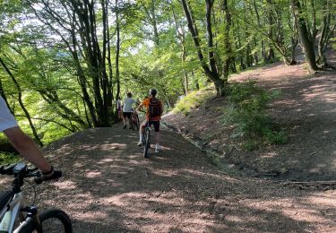 Trail Mountain bike Herve - 20210616 Yeyette en Wez  - Photo