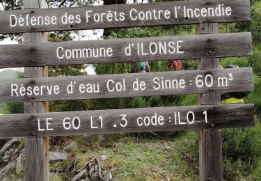 Trail Walking Ilonse - L'auvet d'ilonse - Photo