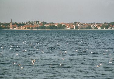 Randonnée A pied  - Sporet ved Stensigmose - Photo