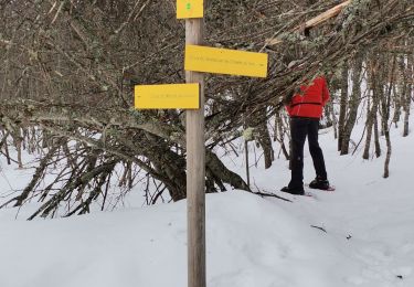 Percorso Racchette da neve Les Déserts - la Féclaz - Croix du Nivolet - Photo