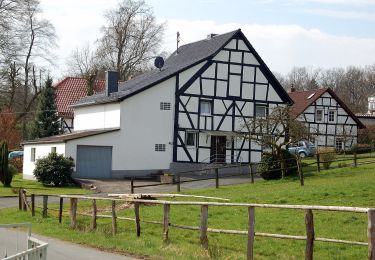 Tour Zu Fuß Ruppichteroth - Hatterscheid Rundweg A3 - Photo