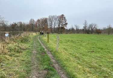 Tocht Stappen Huldenberg - Neerijse 22,5 km - Photo