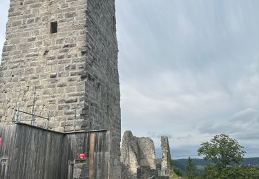 Tour Wandern Scey-Maisières - Château de Scey en varois et plateau  - Photo