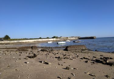 Trail Walking La Flotte - 2024-09-19 île de ré) abbaye et fort de la pré - Photo