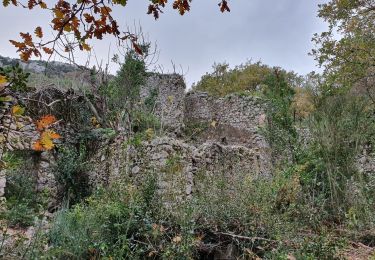 Trail Walking Le Revest-les-Eaux - tourris le revest par la source de la Ripelle - Photo