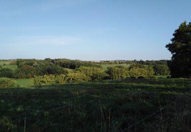 Randonnée Marche Dalhem - dalhem -  mons Bombaye  - Photo