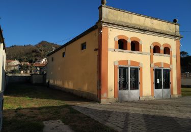 Tocht Te voet Dicomano - Sorgenti di Firenze Trekking – Anello 4: Architetture rurali e campagna toscana - Photo