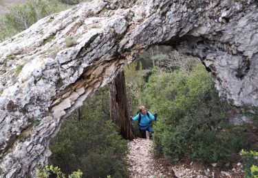 Trail Walking Saint-Rémy-de-Provence - Échelles StRemy de Provence  - Photo