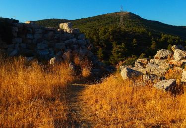 Trail On foot Municipal Unit of Fili - Κάστρο Φυλής - Ρέμα Θοδώρας - Φυλή - Photo
