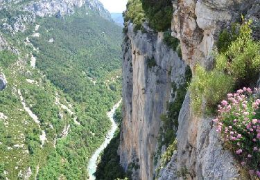 Trail Cycle La Palud-sur-Verdon - SityTrail - Route des crêtes (Verdon) - Photo