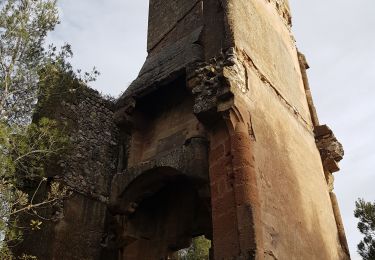 Randonnée Marche La Roque-d'Anthéron - La Roque d'Anthéron. Saint Christophe, Saint Estève Janson, Le vallon du Ru - Photo