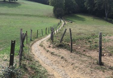 Tocht Stappen Esneux - Boucle de l’Outhe - Photo