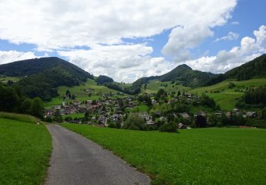Tocht Te voet Balsthal - St. Wolfgang - Langenbruck - Photo