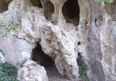 Tour Wandern La Roquebrussanne - Source des Orris rochers menhirs (83) - Photo