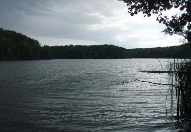 Tocht Te voet Schlaubetal - Gelber Wanderweg - Photo