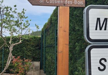 Tour Wandern Le Tignet - circuit du val de Siagne - Photo