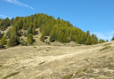 Tocht Stappen Ceillac - crête du Riou vert  - Photo