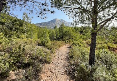 Tocht Stappen Beaurecueil - Aurigon - Photo