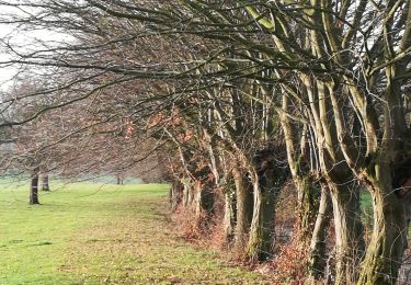 Tocht Stappen Aubel - les trognes de charme - Photo