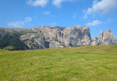 Percorso Marcia Castelrotto - Schlern - Photo