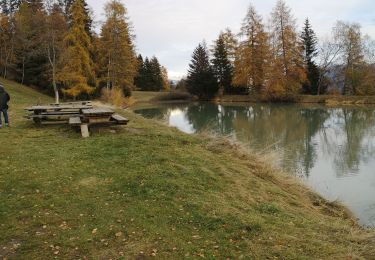 Tocht Stappen Arbaz - etang long - Photo