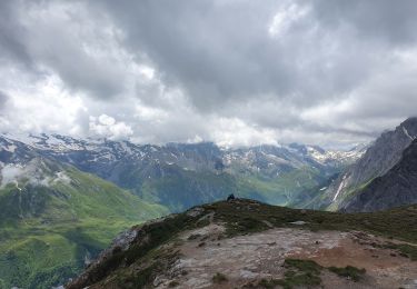 Trail Walking Pralognan-la-Vanoise - Le Petit Mont Blanc - Photo