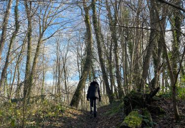 Trail Walking Chaumont-Gistoux - Essai gistoux pas mal jamais fait - Photo