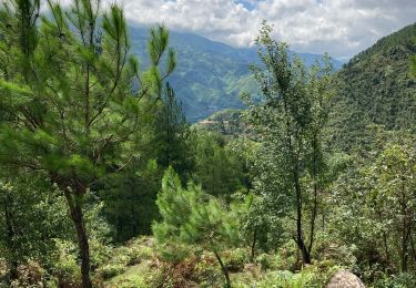 Trail Walking  - Viet mercredi  - Photo