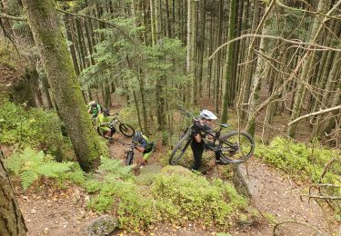 Trail Mountain bike Badonviller - trace angomont - Photo