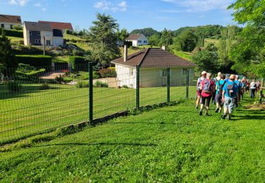 Tour Wandern Verdilly - Verdilly ADR du 9 juillet 2024 - Photo