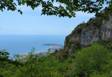 Trail Walking Castellar - Castellane - roc d'Ormea - Photo