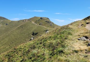 Randonnée Marche Saint-Jacques-des-Blats - st Jacques les B plomb du cantal  - Photo