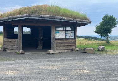 Tocht Trail Laussonne - Fraisse et Moudeyres(23K 580D+) - Photo