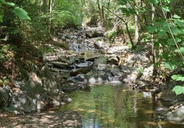 Trail Walking Waimes - Barrage route - Photo