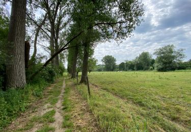 Tocht Stappen Huldenberg - Pecrot 22 km - Photo