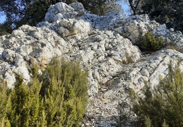 Excursión Senderismo Les Mayons - Sentier Decauville - Photo