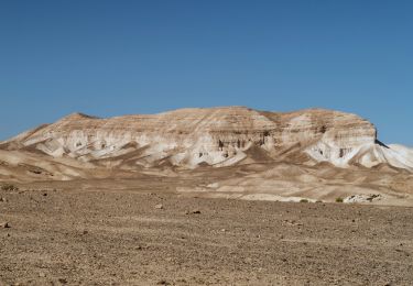 Randonnée A pied מועצה אזורית תמר - IL-11428 - Photo