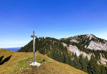 Trail On foot Bad Feilnbach - BF8 - Gipfelstürmer - Photo