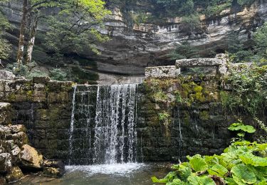 Tour Wandern La Chaux-du-Dombief - La cascade du Saut-Girard à La Chaux-du-Dombief - Photo