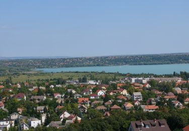 Percorso A piedi Balatonalmádi - S▲ (Felsőörs-Balatonalmádi út - Csere-hegy, Szabadság-kilátó) - Photo