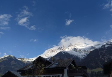 Tour Laufen Champéry - Mieux en Mieux - Photo