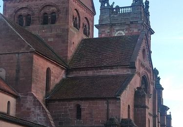 Tour Wandern Neuweiler - Neuwiller Les Saverne /Château Hunebourg  - Photo