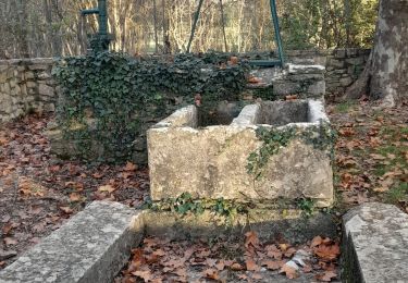 Randonnée Marche Valflaunès - L'hortus et château de Vivourès - Photo