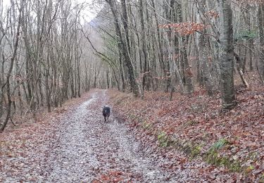 Tocht Stappen Piégros-la-Clastre - le collet en hiver - Photo