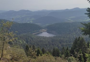 Tour Wandern Urbeis - Col du Calvaire ➡️ Lac Blanc  - Photo