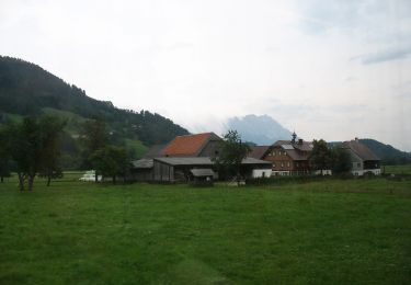 Trail On foot Michaelerberg-Pruggern - Laufstrecke Enns 2 über Birgseitn - Photo